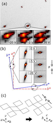 Twin domains in La2−xSrxCuO4 under uniaxial pressure Image
